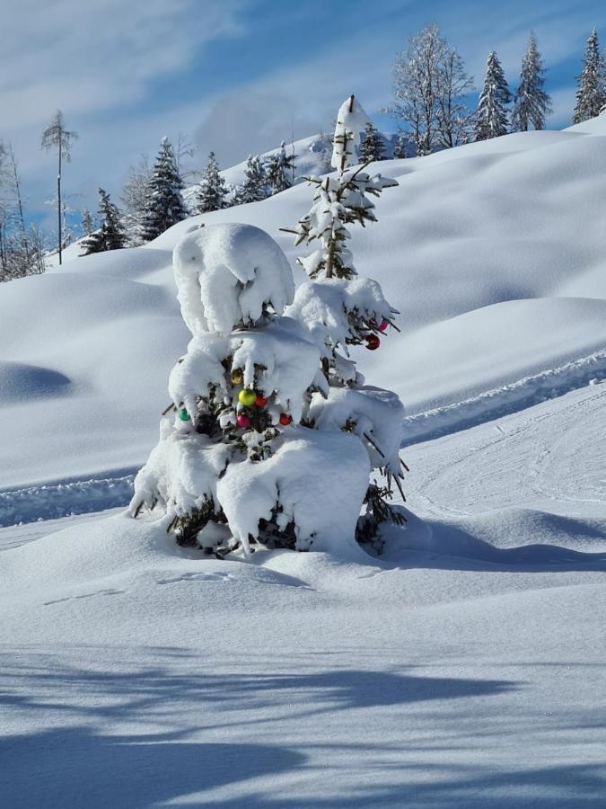 Die Weisse Wand Weissensee Zewnętrze zdjęcie